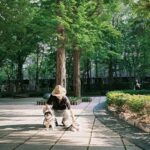 Yesung Instagram - 祝大家八月一切順利！🕊️ Seoul, Korea