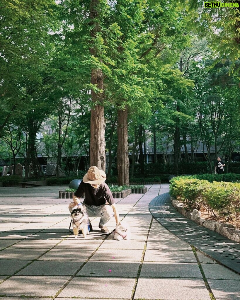Yesung Instagram - 祝大家八月一切順利！🕊️ Seoul, Korea