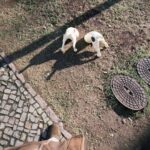 Yesung Instagram - 🇳🇱 >>> 🇩🇪 #travel