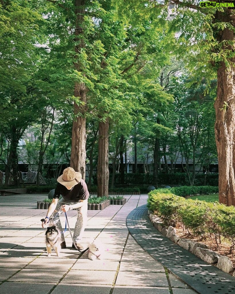 Yesung Instagram - 祝大家八月一切順利！🕊 Seoul, Korea