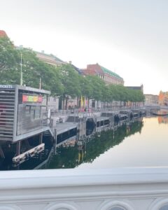 Ylva Bjørkaas Thedin Instagram - Danmark