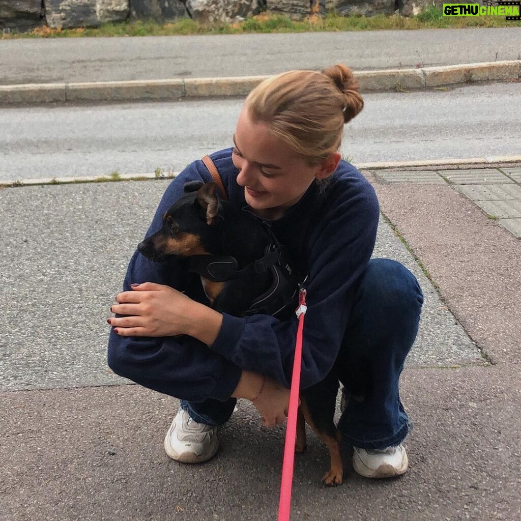 Ylva Bjørkaas Thedin Instagram - Meg, i forskjellige vinkler, men en hund