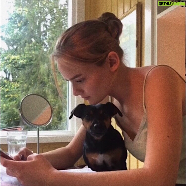 Ylva Bjørkaas Thedin Instagram - Meg, i forskjellige vinkler, men en hund