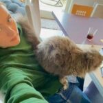 Ylva Bjørkaas Thedin Instagram - Oppsummerende bilder tatt i 2023