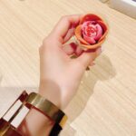 Yoko Hikasa Instagram - 🌸 本日は映画らくだい 魔女フウカと闇の魔女の 舞台挨拶でした！ #井上ほの花 ちゃん #田村睦心 #石見舞菜香 ちゃん #小野賢章 #浜名監督 #日笠陽子 の6人での登壇だったよ〜 メイク:福井さん 衣装:南ちゃん　@m1nam1_515 メガイラさんはこんな役です〜 って、公式の腕輪の写真 送ったら衣装さん笑ってたわ！笑 腕輪はゴールドで、 お洋服もメガイラさんに 似たものを探してくれました😭 ありがとう〜✨ #らくだい魔女 #フウカと闇の魔女 #舞台挨拶 #初の #夜会巻き #ポップコーン #塩バター #バター多め #うまい #差し入れのお菓子 #うまい #新宿バルト9 #tohoシネマズ