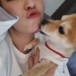 Yoo Jeong-yeon Instagram - 보고시퍼🥜