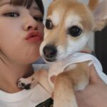 Yoo Jeong-yeon Instagram - 보고시퍼🥜