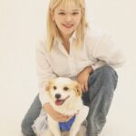 Yoo Jeong-yeon Instagram - 2023년 후원캘린더 촬영을 했습니다 유기견들과 유기묘들을 위해 재능기부를 할 수 있어서 너무 뿌듯하고 재밌게 찍었습니다 #안성평강공주보호소 #복희