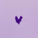Yoon Bo-ra Instagram – I’m💜😈💜😈💜😈💜😈💜😈💜