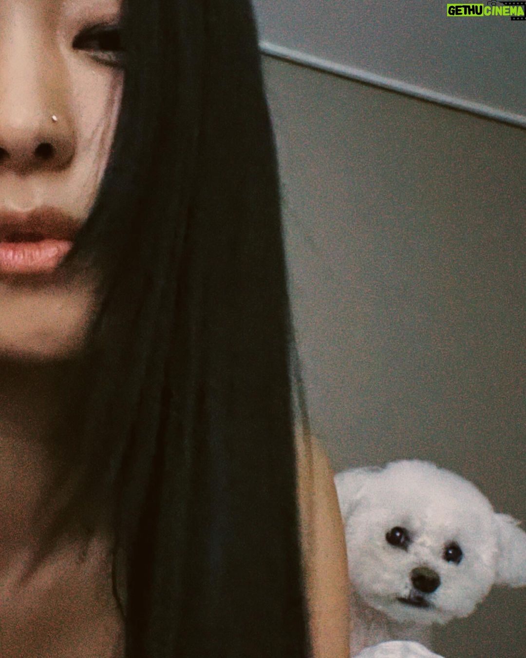 Yoon Bo-ra Instagram - ποΈπββ¬π¦π©Έβ¨π