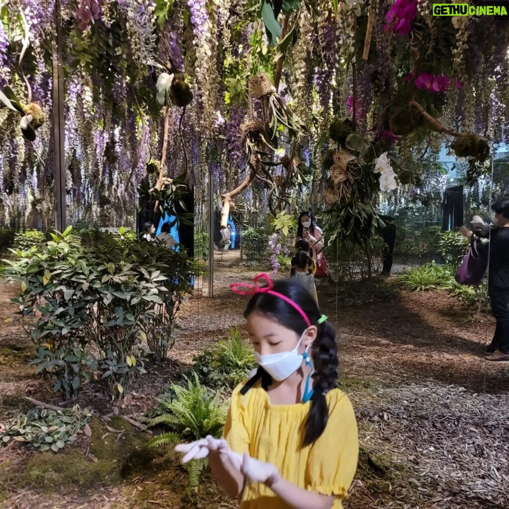 Yoon Ji-min Instagram - 기분좋은 날🤗 . . #팀보타 #탐의숲 서울숲 갤러리아포레