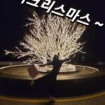 Yoon Ji-min Instagram - 메리크리스마스~~~~~ . . #🎄 #🫶