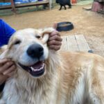 Yoon Jun-won Instagram - 멍멍멍