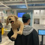 Yoon Jun-won Instagram - 새 아가 입양도 했습니당 이름은 달구🐶