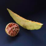 Yorokobu Instagram - Las piezas de cerámica de @muerdelagrimas (el nombre de instagram tras el que se refugia la artista multidisciplinar Marina Garijo) rebuscan en el día a día para extraer la belleza de lo cotidiano. Así, las creaciones de Garijo surgen de mirar alrededor, hasta que algo le llama la atención. «Observo los objetos que me rodean, siendo consciente del atractivo estético sea cual sea el contexto», dice. La detección de la belleza le hace querer «inmortalizar, a través de la cerámica, sus formas y colores». Casi como el que detiene el tiempo un momentito para quedárselo para sí mismo. Solo que Marina Garijo lo consigue. Destaca que muchas de las cosas que inmortaliza se «pueden pasar por alto». Cosas para el día de hoy, de esas que tienen vida efímera. «En muchos casos, represento objetos de usar y tirar», dice. Después, recreándolos en cerámica, los transforma en permanentes y eso «hace que cambie la perspectiva hacia ellos». Cosas que no deberían estar ahí más tiempo del debido se convierten en imperecederas. Así, entre sus sujetos hay «fruta pocha, una bolsa de patatas abierta o unas cerillas usadas». Fuera de estas obras, Garijo está curtida en el diseño y transformación de superficies, particularmente madera y cristal, una experiencia que emplea hackeando muebles y ventanas y transformándolos en algo. Casi como el que busca hacer lo contrario que hacía con la cerámica. Coger algo permanente, que está ahí, y cambiarlo. En el futuro le gustaría colaborar con otros artistas. «Me encantaría hacer proyectos de la mano de artistas a los que admiro, pertenezcan o no al campo de la cerámica». Y, sobre todo, seguir dándole vueltas a las cosas que le rodean y «aprender más sobre técnicas que puedan ayudar a creaciones futuras». #YorokobuInstapost Arte en cerámica