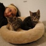 Youssef Zalal Instagram - Newest members to the family MAC & OLIVE 😁❤️ #cats Denver, Colorado