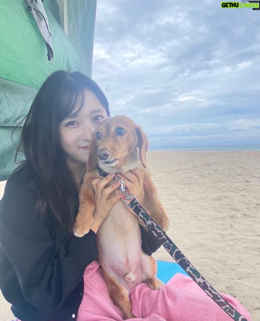 Yui Oguri Instagram - 夏の終わり ゴンくんとの旅🌻🐾🔖 #夏#海#わんちゃん