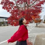 Yui Oguri Instagram - 冬の赤色ってなんかいい~👜🧣🔖 #姉妹旅Part2 #姉妹#銀杏 #軽井沢 #軽井沢旅行