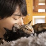 Yuki Furukawa Instagram - ドラマ「#ねこ物件」 https://neko-bukken.com/ #古川雄輝 #yukifurukawa