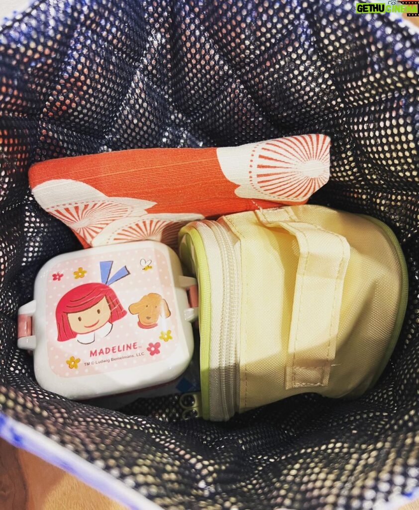 Yuko Nakazawa Instagram - ⭐︎⭐︎ 和柄が可愛い 保冷袋を見つけました🥰 使いやすくて ファスナーじゃない所が良い。 これから どんどん気温が上がっていく季節。 毎日のお弁当 色んなのが欲しくなります。 温かいお味噌汁がよほど 気に入ったようで、 今日もお野菜たーっぷりの お味噌汁を。 明日はスープが良い！ と、具材のリクエスト入りました☺️ #スープジャー #保冷袋 #裕子のいつものお弁当