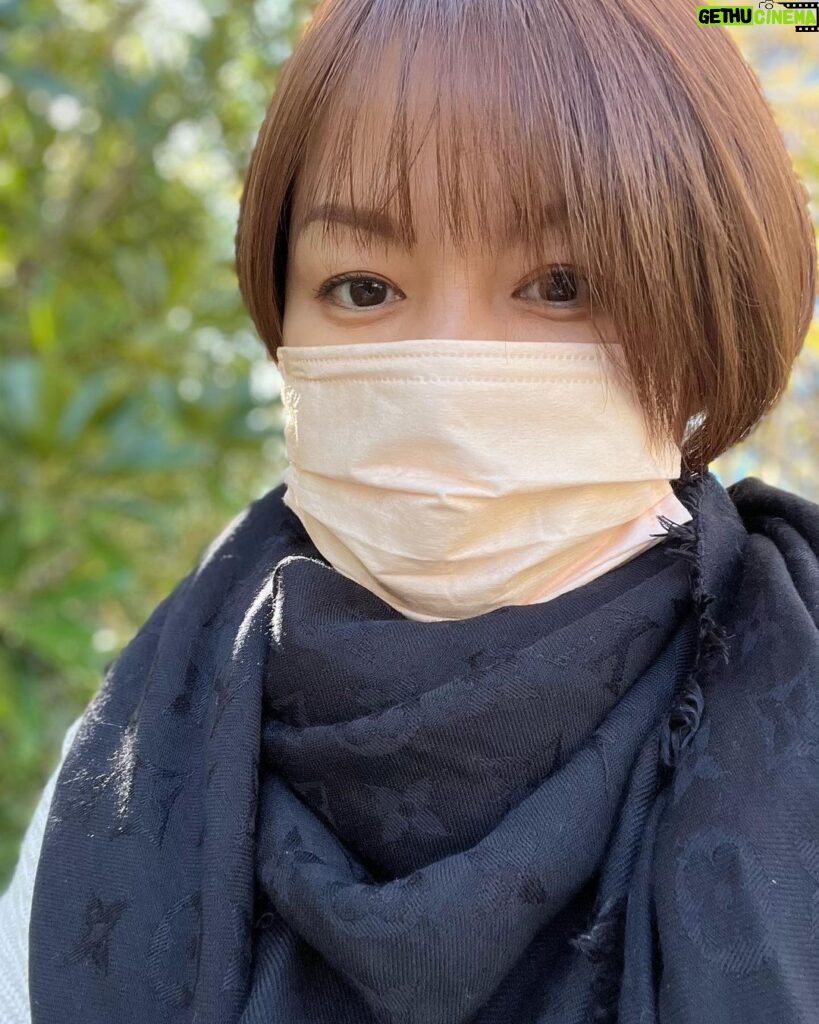 Yuko Nakazawa Instagram - ・・ 今日の朝、寒くて 今秋初めての、ストールと軽めのニット。 お迎えの時同じ感じで行ったら、 暑かった。 寒暖差が身に染みるお年頃💦 今の髪型 めっちゃ気に入ってますー❤︎