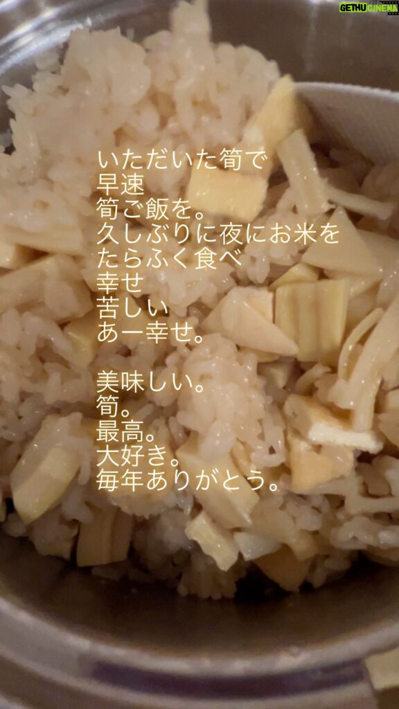 Yuko Nakazawa Instagram - ⭐︎⭐︎ お友だちから　 大大大好きな 旬の食材をお裾分け してもらいました。 たけのこ タケノコ 筍 最近 お米控えめにしてたけど 食べるよな 食べるに決まってる だって 筍好きだし お米好きだし 食べないって選択がない #春 #筍 #お揚げさん #さがびより