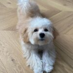 Yuliya Topolnitskaya Instagram - BUBLIK 💙