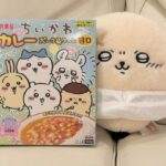 Yuma Uchida Instagram - いや、買うつもりじゃなかったんだけど つい #ちいかわ #カレー #最強の組み合わせでは