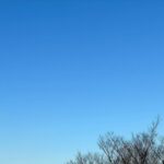 Yuma Uchida Instagram - 。 #祝2023年！！ #今年も宜しくお願いします #新年 #空 #青 #気持ちいいいいい