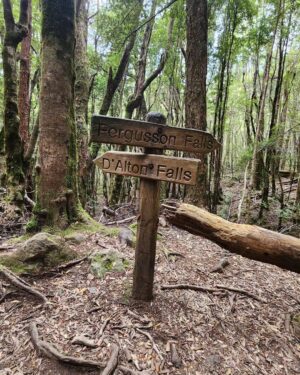 Yumi Stynes Instagram - Going on a big hike is such a massive undertaking:
Of time preparing 
Of gathering the right gear and food
Fitness 
And then the time it takes away from work and home to do the actual hike... 

...that I found myself wondering, "is this the last time I'll ever do this?" 

And you start thinking of all the things that you may only do once more...