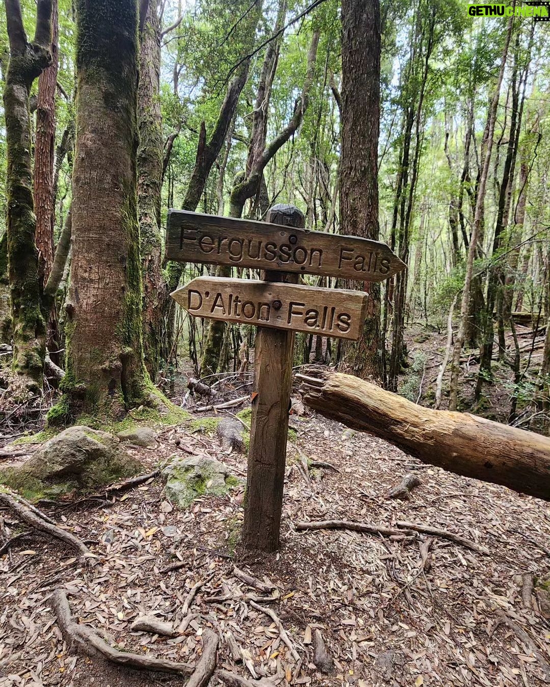 Yumi Stynes - 1K Likes - Going on a big hike is such a massive undertaking:
Of time preparing
Of gathering the right gear and food
Fitness
And then the time it takes away from work and home to do the actual hike...
...that I found myself wondering, "is this the last time I'll ever do this?"
And you start thinking of all the things that you may only do once more...