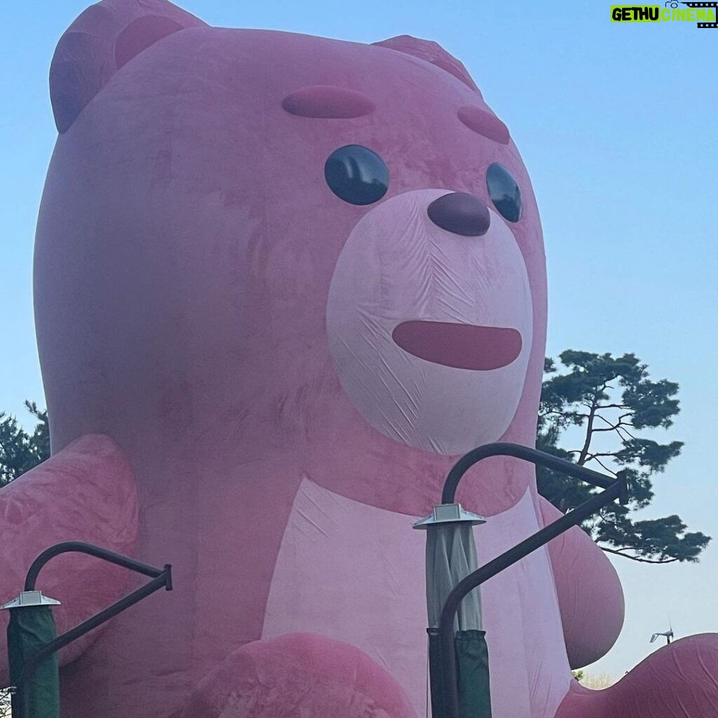 Yun Sung Instagram - 드디어 유명한 곰 봤다!!!!!!!!!