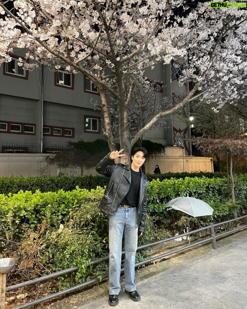 Yun Sung Instagram - 감자탕 먹다가 꽃이 보이길래 급하게 한컷~~~^^*💗🌸