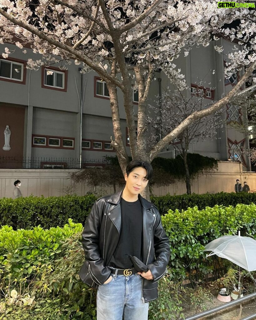 Yun Sung Instagram - 감자탕 먹다가 꽃이 보이길래 급하게 한컷~~~^^*💗🌸