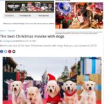 Yvette Rachelle Instagram – ❤️💚🐶Looking for a Christmas movie with #Dogs #whattowatch  #rottentomatoes listed best #dogslovers films 💚❤️🐶 1. #santabuddies #santabuddiesthelegendofsantapaws 🐾 cute family film starring #greatpyrenees #greatpyreneespuppy or in Europe we call them #pyrenean  You can find this sweet #puppy filled adorable extra cute film on  #rokuchannel  2. 💚💚💚#agrinchstolechristmas with #thegrinch by #Ronhoward Starring the best #grinchlover💚❤️🎄 #jimcarrey 💚💚3.An All Dog Christmas Carol  4. 🎅 Santa Stole Our Dog 🐶 #santastoleourdog  our #universalstudios film made it about Santa well Ed Asner stealing the family dog but accidentally of course- as Santa 🎅 doesnt steal he gives. 🎁 I play ❄️ Snowflake the Elf & Windy the #Weathergirl  and LilBear plays Rusty the 🐶 Plus #ericrobertsactor as Toy CEO ❤️❤️❤️ 5. A Christmas Tail 🐩 🐕  6. A Dog Named Christmas #adognamedchristmas 🎄 🎁 #hallmarkmovies #hallmarkchannel #hallmarkchristmasmovies ❤️❤️🐕🐶Go grab your furry best friend and enjoy these happy Holidays  films woof 🐶 woof 🐶 Hey if you dont have a dog 🐕 Its a great time #adoptadog #dogadoptions in the #newyear2023 🎉 🎈  Have a #happynewyearseve Actress #animalactivist  #yvetterachelle ❤️💚🐶