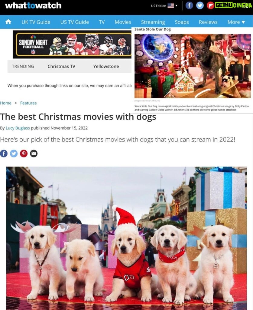 Yvette Rachelle Instagram - ❤️💚🐶Looking for a Christmas movie with #Dogs #whattowatch #rottentomatoes listed best #dogslovers films 💚❤️🐶 1. #santabuddies #santabuddiesthelegendofsantapaws 🐾 cute family film starring #greatpyrenees #greatpyreneespuppy or in Europe we call them #pyrenean You can find this sweet #puppy filled adorable extra cute film on #rokuchannel 2. 💚💚💚#agrinchstolechristmas with #thegrinch by #Ronhoward Starring the best #grinchlover💚❤️🎄 #jimcarrey 💚💚3.An All Dog Christmas Carol 4. 🎅 Santa Stole Our Dog 🐶 #santastoleourdog our #universalstudios film made it about Santa well Ed Asner stealing the family dog but accidentally of course- as Santa 🎅 doesnt steal he gives. 🎁 I play ❄️ Snowflake the Elf & Windy the #Weathergirl and LilBear plays Rusty the 🐶 Plus #ericrobertsactor as Toy CEO ❤️❤️❤️ 5. A Christmas Tail 🐩 🐕 6. A Dog Named Christmas #adognamedchristmas 🎄 🎁 #hallmarkmovies #hallmarkchannel #hallmarkchristmasmovies ❤️❤️🐕🐶Go grab your furry best friend and enjoy these happy Holidays films woof 🐶 woof 🐶 Hey if you dont have a dog 🐕 Its a great time #adoptadog #dogadoptions in the #newyear2023 🎉 🎈 Have a #happynewyearseve Actress #animalactivist #yvetterachelle ❤️💚🐶