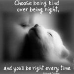 Yvette Rachelle Instagram - BE COOL Chose being kind ♡♡♡you will get better Karma too ☆☆☆ #Peace #AnimalActivist #AnimalLover #Vegan #Actress #YvetteRachelle