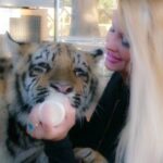 Yvette Rachelle Instagram – Beautiful #Tiger I helped rescue he was so sweet when I gave him his bottle his paw would hold onto me. Help save #wildlife their numbers are being dwindled by hunters & deforestation. #Peace  #Celebrity #AnimalActivist  #AnimalLover  #Vegan  #YvetteRachelle