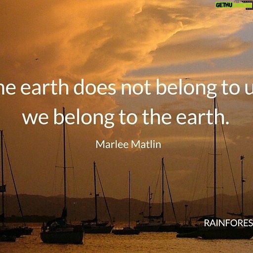 Yvette Rachelle Instagram - Beautiful quote....#Celebrity #Actress #YvetteRachelle