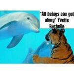 Yvette Rachelle Instagram - All Beings can get along whether it's #animal beings or #human beings #WorldPeace #Love #Actress #AnimalRights #WILDLIFE #YvetteRachelle
