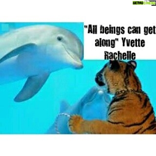 Yvette Rachelle Instagram - All Beings can get along whether it's #animal beings or #human beings #WorldPeace #Love #Actress #AnimalRights #WILDLIFE #YvetteRachelle