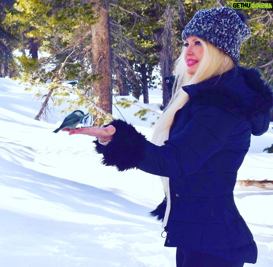 Yvette Rachelle Instagram - 💛💚💙The beauty of #springsnow being at peace in the forest with wildlife #wildbirds The wild birds actually peacefully ate seed from my hand in the mountain wilderness. How amazing💙💜Its Springtime snow but keeping warm in my favorite super cute and soft #Mukluks #beanieseason #pomhat made with #popcornyarn #lovemukluks💜❤️Now, if all beings could just peacefully co-exist what a more beautiful world it would be….Sending every being on the planet #infinitelove 💙💚and #worldpeace 🌎 Actress #TopModel #animalactivists #yvetterachelle