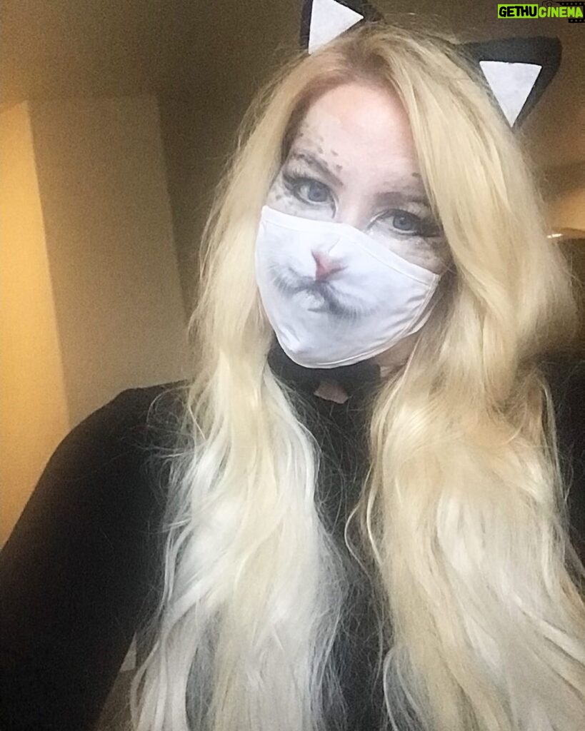 Yvette Rachelle Instagram - 👻 #Boo 👻 #Meow 🐱 Hope everyone had a fun #safetravels #happyhalloween🎃👻🕸 I decided this year with another year of #covid around to be a cute funny safety #facemask white #felinefriendsofinstagram 😻😻 kitty cat wearing #clothmask #kittensofinstagram #catsloverclub 🐈‍⬛ Utilizing some #maccosmetics and natural organic #pacificabeauty I transformed into #catoftheday or night! It turned out prrrr #purfect ! And of course being a #swedishmodel giving out #Swedishfish the 🍬🍬sweet chewy #veganfood fish shaped candy 🍭🍭Did you know Swedish Fish were originally created in 1950’s by Swedens candy Company #Malaco which in Sweden they call it #pastellfiskar ! In Scandinavia #blacklicorice is popular and many suspect they taste like #ligonberries a bright red berry found in #nordicinspiration cuisines. Plus , my love of anything chocolate so #chocolateaddict got #kitkat #betterwithmms and #twix as I was the Be‘Twix’ing🐱 cat… for all you cat lovers #pininterest #theatricalmakeup #halloweenmakeup fans out there! Do #Besafe out there maybe even adopt a stray cat 🐱 as every cat 🐈 needs a home🏡 Hugs, Actress Animal Activist Yvette Rachelle 😻😻😻