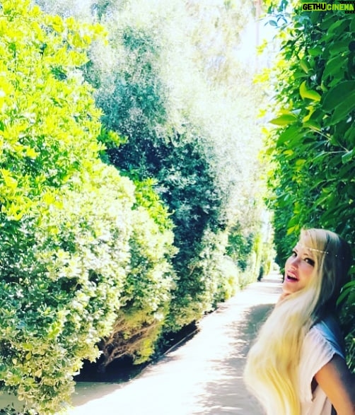 Yvette Rachelle Instagram - Where is this enchanted secret garden?⚘⚘ Its magical whimsical grounds are an extensive labrynth paths that are like a maze made up of 100 year old 50 foot hedges of Mediterranean palms, olive and lime trees with the wafting scents of jasmine and citrus blossoms. 🌻🌻Before my #UniversalPictures film shoot I had the delight to visit this former #hollywoodactors playground for #marilynmonroe Howard Hughes & ratpack stars #franksinatra Now, this place is the hideaway to #leonardodicaprio #bradpitt #angelinajolie . This stunning place is @parkerpalmsprings 🌴🌴#theparker #theparkerpalmsprings 🌴🌴Stay tuned for more pictures of this exclusive hotel with the old Hollywood vibe meets new Hollywood... #Peaceout✌ #relaxing_time👌 Actress #topmodelselfie #swedishgirl #celebstyle #celeblook #YvetteRachelle ⚘⚘