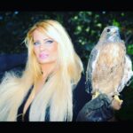 Yvette Rachelle Instagram – 🌎🌍🌏Everyday should be #EarthDay as we should celebrate the beauty of planet and its inhabitants everyday🌎🌍🌏Here is a beautiful #hawk  a bird of prey famed for being a favorite among #falconers  In #Sweden 🇸🇪 the #eurasiansparrowhawk has been utilized by falconer’s since 16th century and praised for its courage. Other hawks in #scandanavia are #roughleggedhawk and #northerngoshawk . In America the #Redtailedhawk is widely used for sound effects for its unique high pitched calls in both movies and tv shows like #Yellowstone Best way to take care of these #wildbirds and all wildlife is to not use mice or rat poison or weedkiller as it ends up in food chain sadly killing vast amounts of birds needlessly. This is one way to help our #animalplanet ! Or help donate to  #defendersofwildlife #nationalaudubonsociety #californiawildlifecenter Sweden wildlife Charities.  Hugs 🤗 #swedishgirl topmodel actress #yvetterachelle  Peace ☮️ on 🌍 Earth