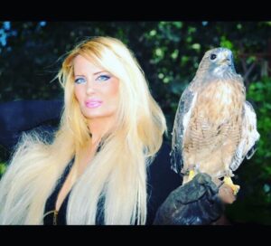 Yvette Rachelle Instagram - 🌎🌍🌏Everyday should be #EarthDay as we should celebrate the beauty of planet and its inhabitants everyday🌎🌍🌏Here is a beautiful #hawk  a bird of prey famed for being a favorite among #falconers  In #Sweden 🇸🇪 the #eurasiansparrowhawk has been utilized by falconer’s since 16th century and praised for its courage. Other hawks in #scandanavia are #roughleggedhawk and #northerngoshawk . In America the #Redtailedhawk is widely used for sound effects for its unique high pitched calls in both movies and tv shows like #Yellowstone Best way to take care of these #wildbirds and all wildlife is to not use mice or rat poison or weedkiller as it ends up in food chain sadly killing vast amounts of birds needlessly. This is one way to help our #animalplanet ! Or help donate to  #defendersofwildlife #nationalaudubonsociety #californiawildlifecenter Sweden wildlife Charities.  Hugs 🤗 #swedishgirl topmodel actress #yvetterachelle  Peace ☮️ on 🌍 Earth