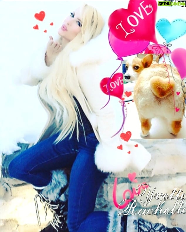 Yvette Rachelle Instagram - 💖💗💕HAPPY #Valentines DAY💕💗💖 Sending infinite Love #Hugs #mua #xoxo💋 from #DogLover🐶🐶🐶 What are your plans on #Vday ? #dogsofinstgram #corgis #dogbaby #dogsoftheday #doggie #dogram #dogsofinstgram #corgisbutts #blondes #vdaymakeup #vdayoutfit #denim #guessjeans #fashionaddicts #fashiontrends #snowboots #mukluks #beautygirl #lovemukluks