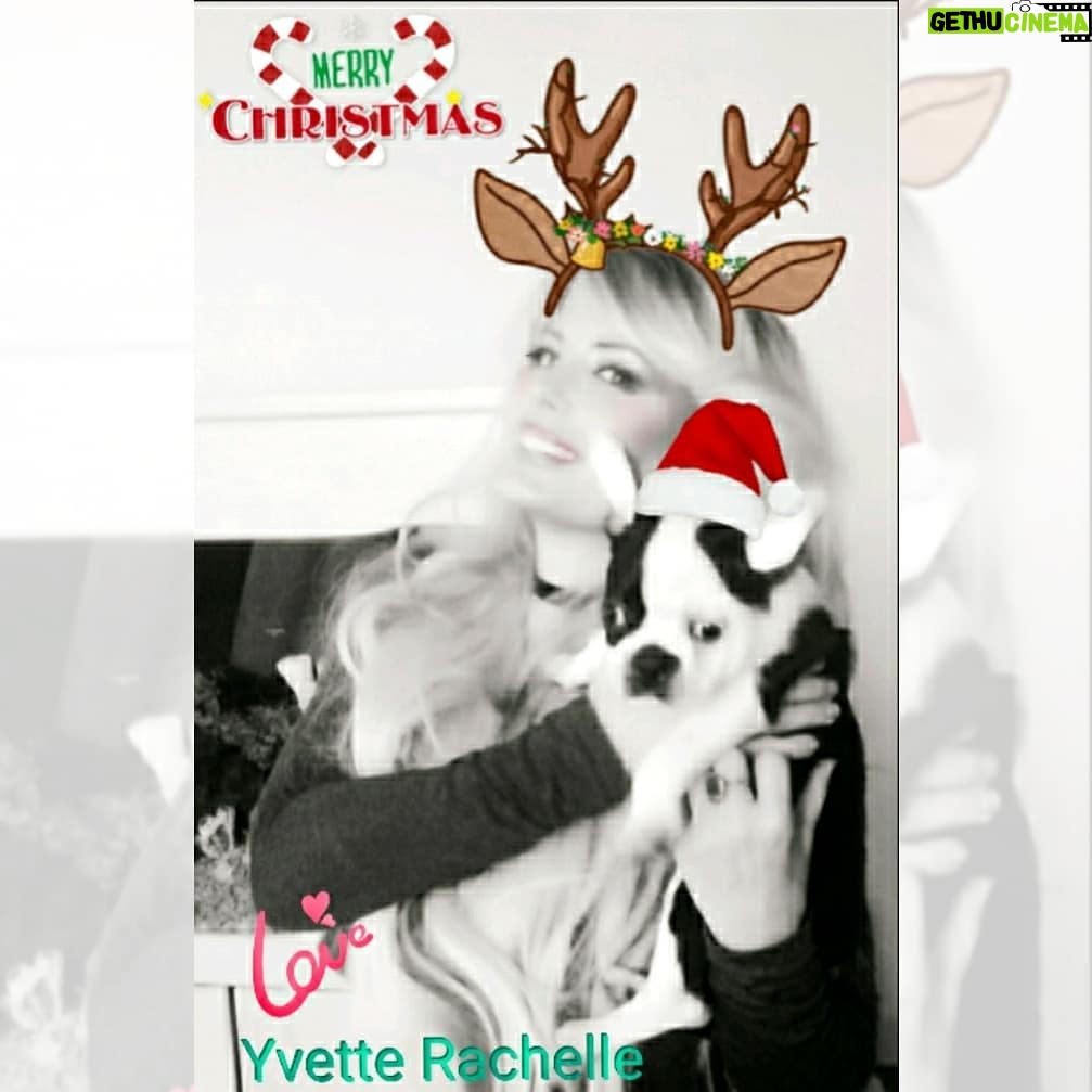 Yvette Rachelle Instagram - Hoping everyone had a Merry Christmas and joyous Holiday season ❄🎁❄Great time to spend with family, friends, #pets, and your #dog #dogsofinstagram #dogstagram #dogsofinstaworld #puppy #puppylove #actress #model doglover #frenchbulldog #YvetteRachelle @itsybitsyfrenchies