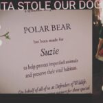 Yvette Rachelle Instagram - Big Thanks to #Actress #TopModel #YvetteRachelle for donating her time to film Santa Stole Our Dog to help save our planet from #globalwarming saving #Endangered #endangeredspecies #endangeredanimals #wildlife Rachelle would like to be remembered for helping save wildlife and our planet.Big thanks to all of her fans on #instagram that help save #Wildlife #defendersofwildlife Charity #Peace n #Love is her Motto