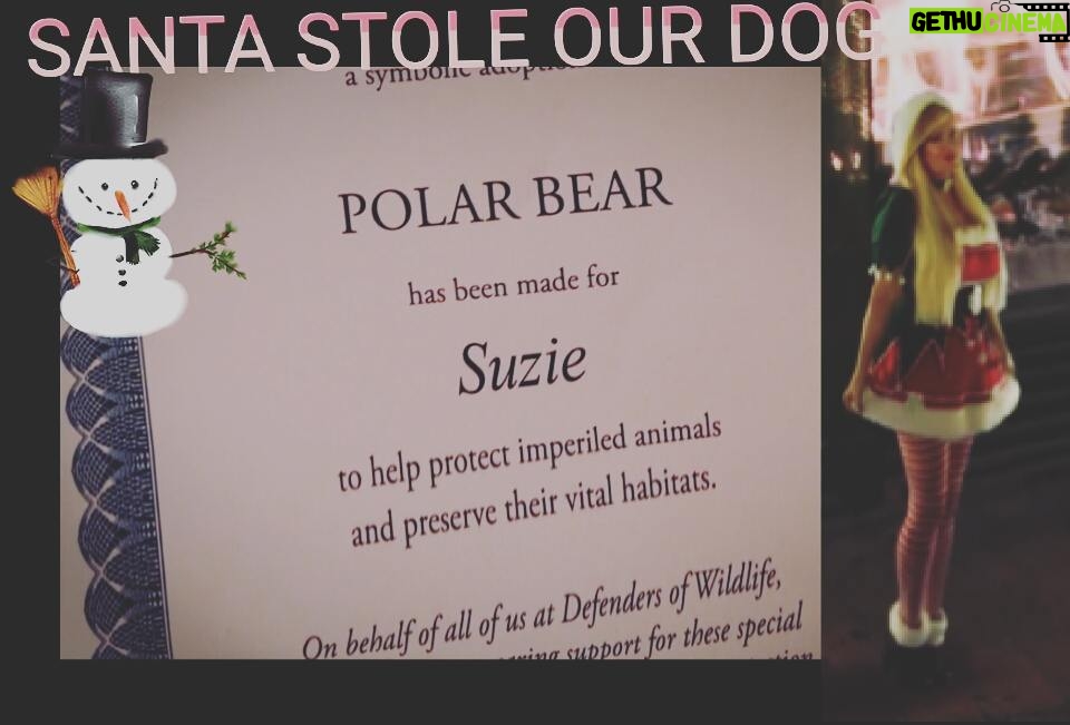 Yvette Rachelle Instagram - Big Thanks to #Actress #TopModel #YvetteRachelle for donating her time to film Santa Stole Our Dog to help save our planet from #globalwarming saving #Endangered #endangeredspecies #endangeredanimals #wildlife Rachelle would like to be remembered for helping save wildlife and our planet.Big thanks to all of her fans on #instagram that help save #Wildlife #defendersofwildlife Charity #Peace n #Love is her Motto